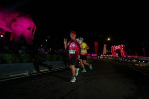 BIB: 
                            <button type="button" onclick="openModal(26552572)" class="btn btn-primary btn-sm float-right btn-popup" data-toggle="modal" data-target=".modal-high-quality">
                        <i class="fas fa-shopping-cart"></i> Add to Cart
                    </button>
                                            <button type="button" onclick="isThisMe(26552572, true)" class="btn btn-success btn-sm float-right btn-popup btn-isme hidden" data-toggle="tooltip" data-placement="bottom" title="นี่คือรูปของคุณใช่ไหม คลิกที่นี่เพื่อเอาเข้าอัลบั้ม">
                        <i class="fas fa-plus"></i> Add to album
                    </button>
                    <button type="button" onclick="isThisMe(26552572, false)" class="btn btn-warning btn-sm float-right btn-popup btn-isnotme hidden">
                        <i class="fas fa-ban"></i> Remove from album
                    </button>